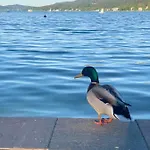 Fresh Lejlighed Ossiach